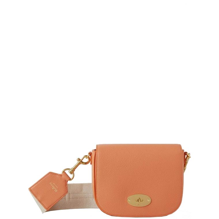 Mulberry Small Darley Satchel Apricot 